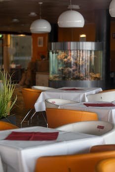 3 choses importantes à savoir sur l'entretien du filtre aquarium